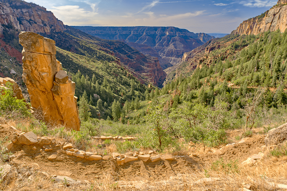 The Southwest - Arizona