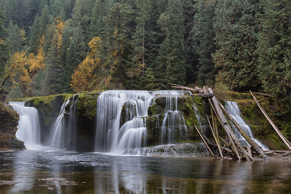 The West - Washington