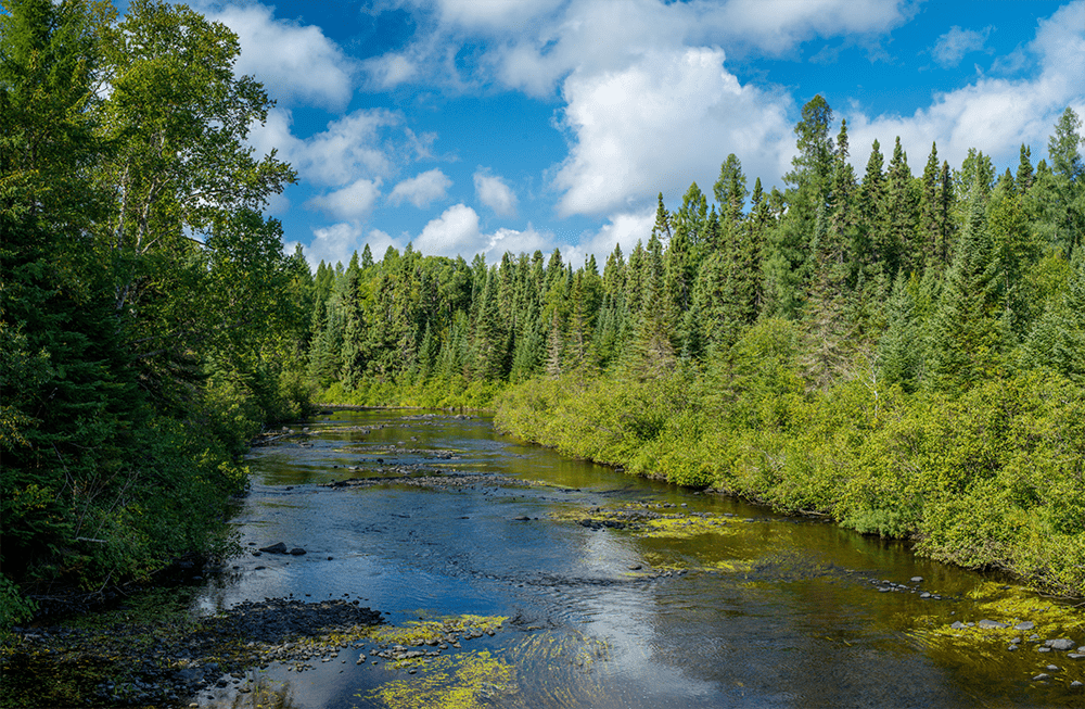 The Midwest - Minnesota