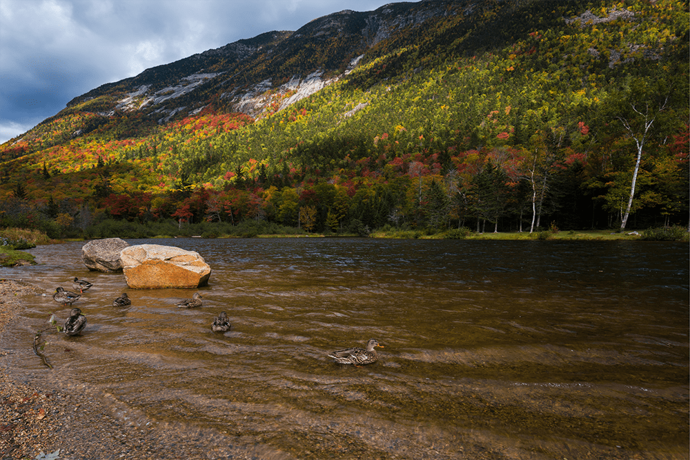 The Northeast - New Hampshire