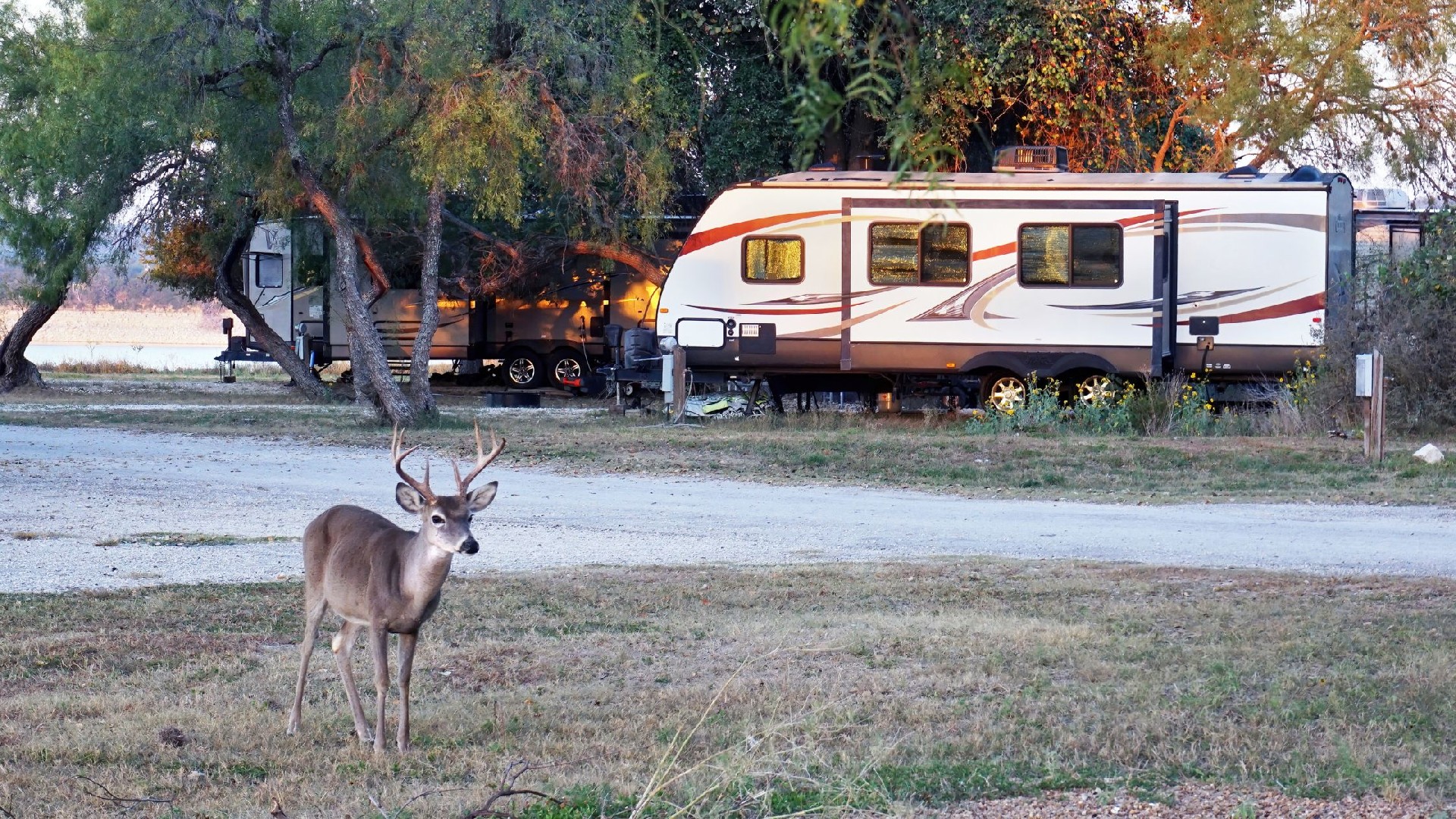 Fall RV Camping: Ultimate Destinations for Your Fall Travel Trailer Adventure