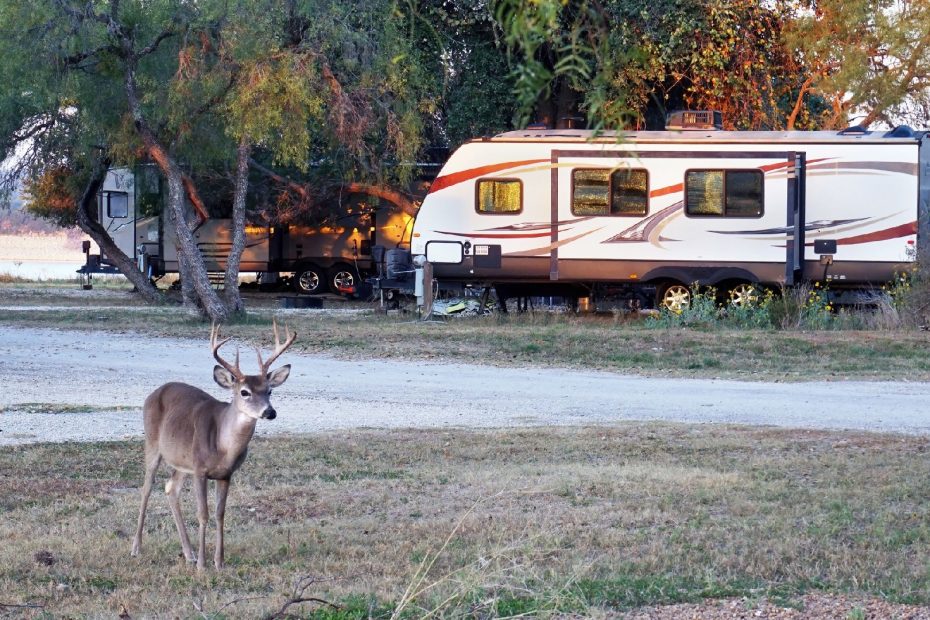 FALL RV CAMPING: ULTIMATE DESTINATIONS FOR YOUR FALL TRAVEL TRAILER ADVENTURE