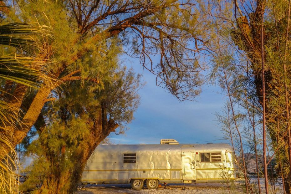 TRAVEL TRAILER PEST CONTROL: HOW TO KEEP YOUR RV FREE FROM RODENTS, SPIDERS, INSECTS AND REPTILES